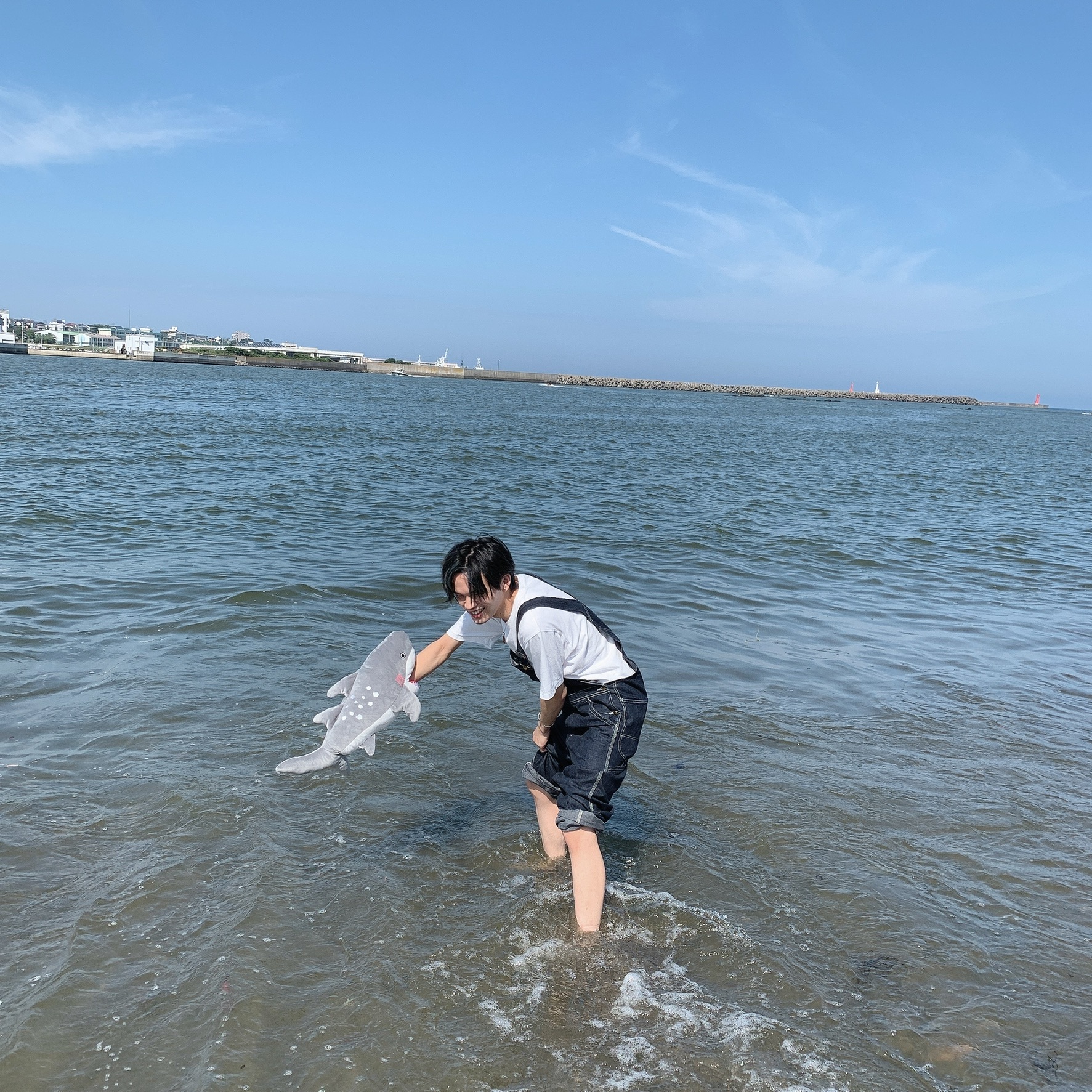 海は広いな