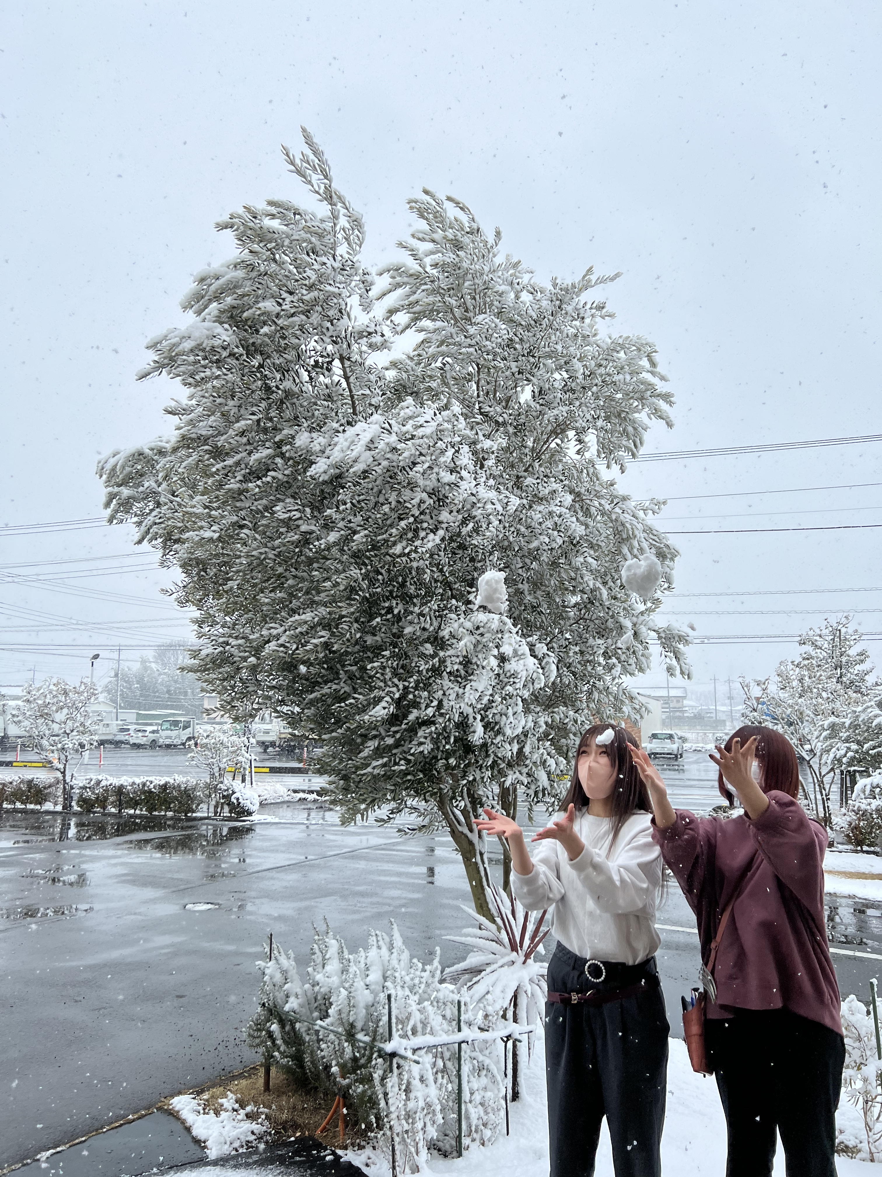 初雪にはしゃぐ子達